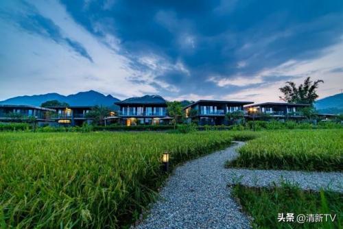 清远清新温泉度假村(299元温泉加住宿)插图14