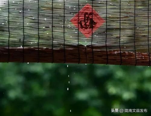 雨落凡尘(羽落凡尘)插图1