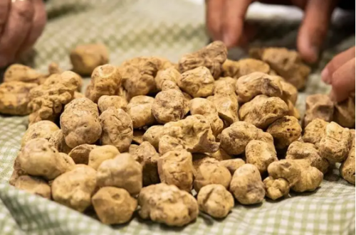 米其林排名前十的食品(米其林零食排行榜)插图8