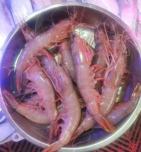 青岛海鲜品种排名前十(青岛海鲜餐厅人气排名)插图2