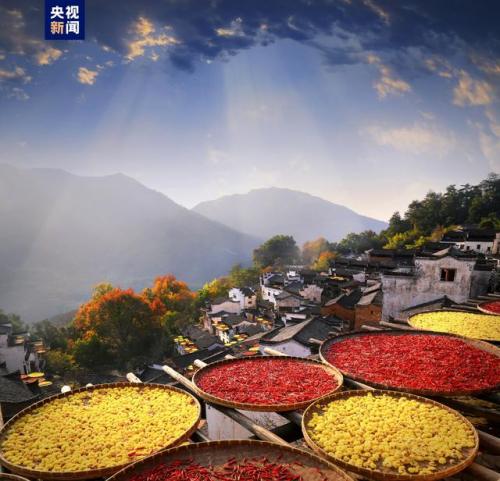 世界旅游(旅游世界需要多少钱)插图1