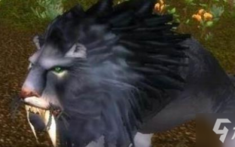 wow狮王休玛(怀旧服猎人狮王修玛坐标)