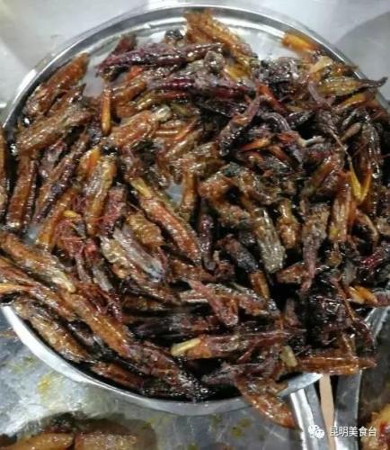 昆明烤肉集团排名前十(贵阳烤肉十大排名)插图65