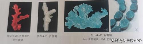 缅甸宝石产量排名前十(缅甸琥珀市场行情)插图8