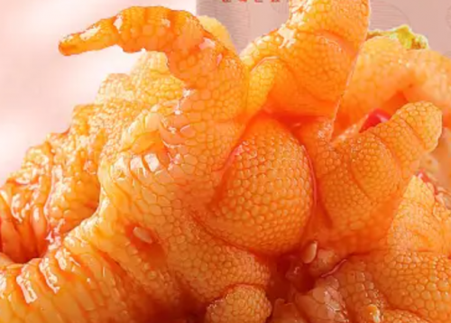 什么牌子的鸡爪好吃(十大出名鸡爪品牌有哪些)插图2