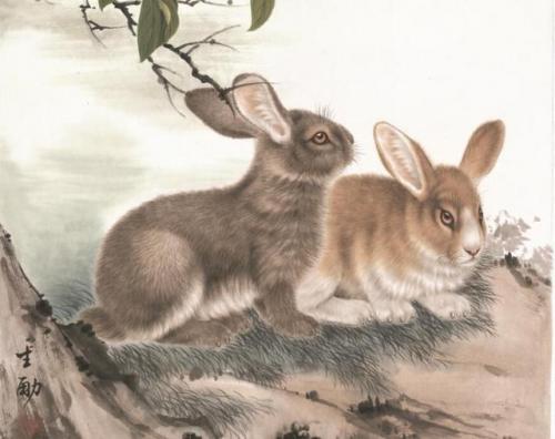浑身是胆是什么肖(一身是胆打一生肖)插图