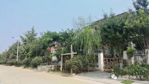 邳州最美别墅排名前十(邳州别墅最高价)插图