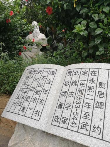 寿光海鲜小吃排名前十(寿光沃德海鲜馆)插图