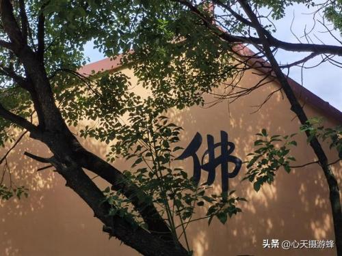 萧山免费寺庙排名前十(萧山私人寺庙)插图32