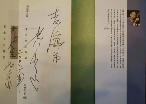 湘西民间画家排名前十(湘西画家黄永玉)插图45