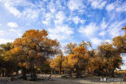 新疆秋季景点排名前十(新疆哪里旅游好)插图3
