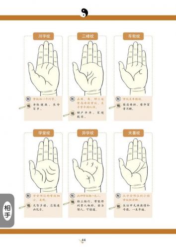 看手相算命(免费算命)插图5