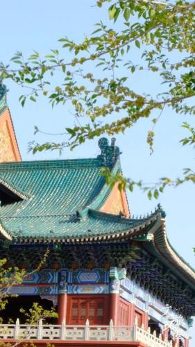 威海仙姑顶(威海仙姑顶景区免费吗)插图