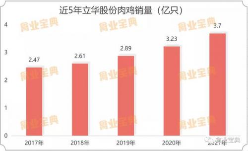 全国种禽公司排名前十(中国十大公司集团排名)插图1