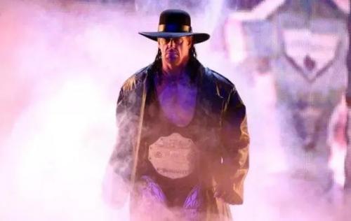 wwe体育价值排名前十(wwe历史十大排名)插图44
