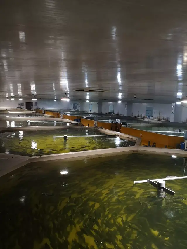 余杭外卖大餐排名前十(美团外卖年三十还送餐吗)插图17