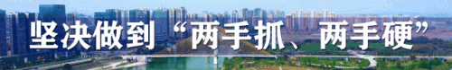 蓬安星级酒店排名前十(蓬安酒店排行榜)插图