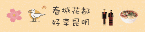 云南最美营地排名前十(云南弥勒航空飞行营地)插图