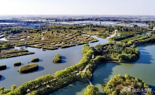 盐城地区景点排名前十(盐城必去景点排名第一)插图25