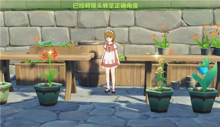 原神风花节研究报告留影任务完成攻略分享(原神错过了风花节)插图1
