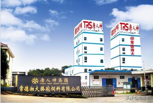 鱼食料品牌排名前十(鹦鹉鱼十大鱼饲料品牌)插图6