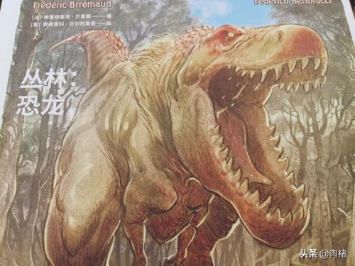 丛林之狐2中文版(丛林之狐中文版攻略)插图14