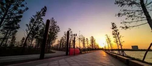 上海划船景区排名前十(上海划船的公园哪个比较好)插图13