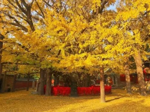 益阳重点景区排名前十(益阳一日游哪里好玩)插图