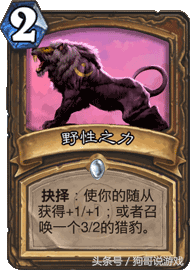 炉石传说乱斗模式最佳拍档(炉石乱斗卡组本周十大职业)插图2