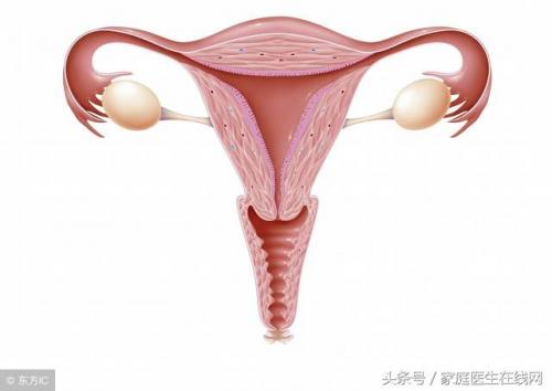 卵巢早衰的8大征兆(卵巢早衰可以治愈吗)插图1