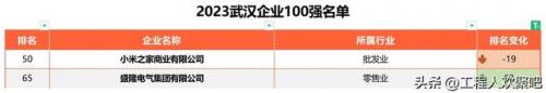 武汉地方企业排名前十(武汉新三板企业名单)插图3