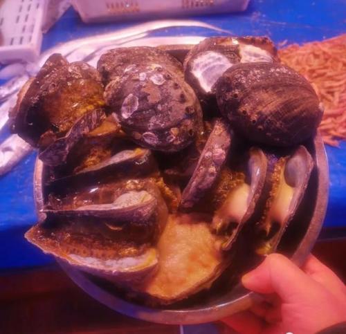 青岛海鲜品种排名前十(青岛海鲜餐厅人气排名)插图40