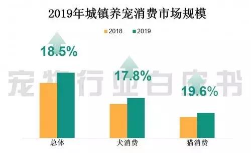 淘宝网猫粮(淘宝上靠谱的猫粮店铺)插图