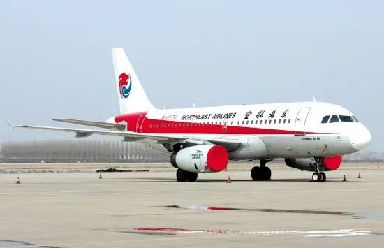 河北航空(河北航空空姐魏沐晴)插图