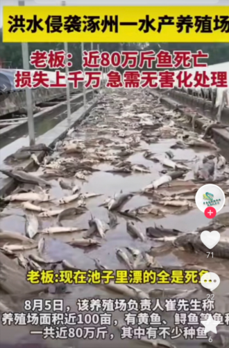 各界大佬捐钱排名前十(名人大咖捐钱的例子)插图6
