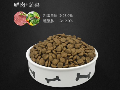 宠物狗用品(养狗用品清单)插图7