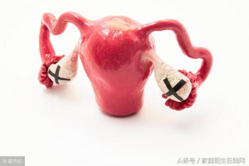 卵巢早衰的8大征兆(卵巢早衰可以治愈吗)插图