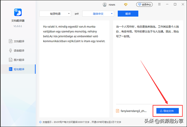 匈牙利语(中国人在匈牙利安全吗)插图6