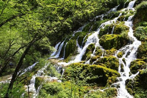 西宁旅游景点(塔尔寺)插图32