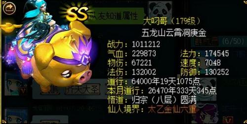 问道装备封印宠物表(问道力封印血煞还是追击)插图2