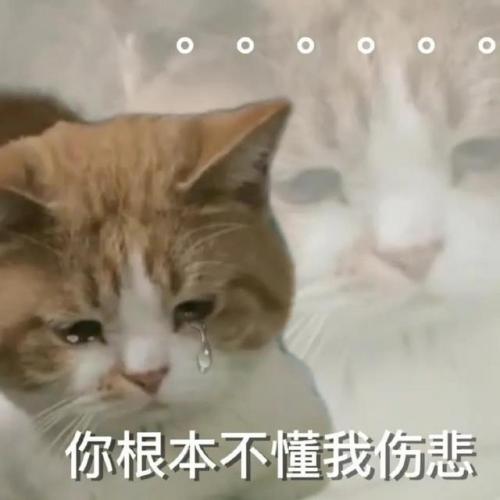 伤心图片(伤心绝望心痛心寒的句子)插图6