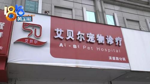 杭州犬舍排名前十(全国十大金毛犬舍)插图1
