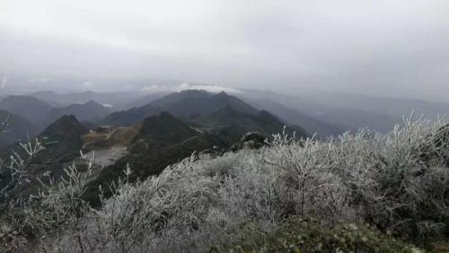 四川哪里下雪了(2023第一场雪)插图