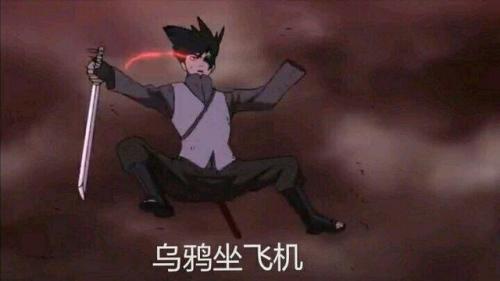 乌鸦坐飞机(乌鸦坐飞机歇后语下一句)插图