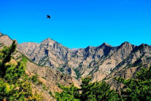 银川免费景点排名前十(银川十大景点排名)插图18