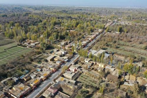 新疆地毯工厂排名前十(新疆哪里能买到正宗地毯)插图2