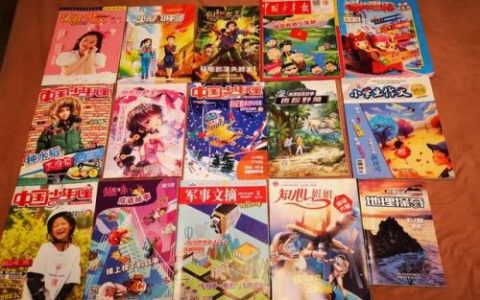 过期期刊(二手杂志在哪里买)