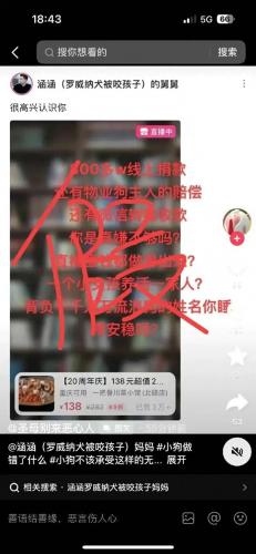 dnf动物套2021(dnf2021动物套多少钱)插图22