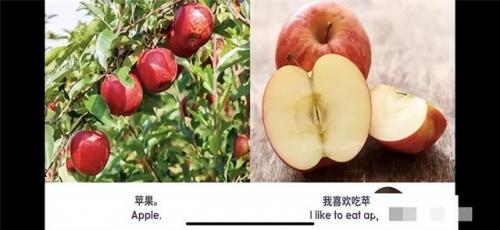 早教产品(1岁宝宝启蒙教育)插图59