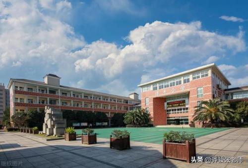 郑州高价小学排名前十(郑州全部小学排名一览表)插图6